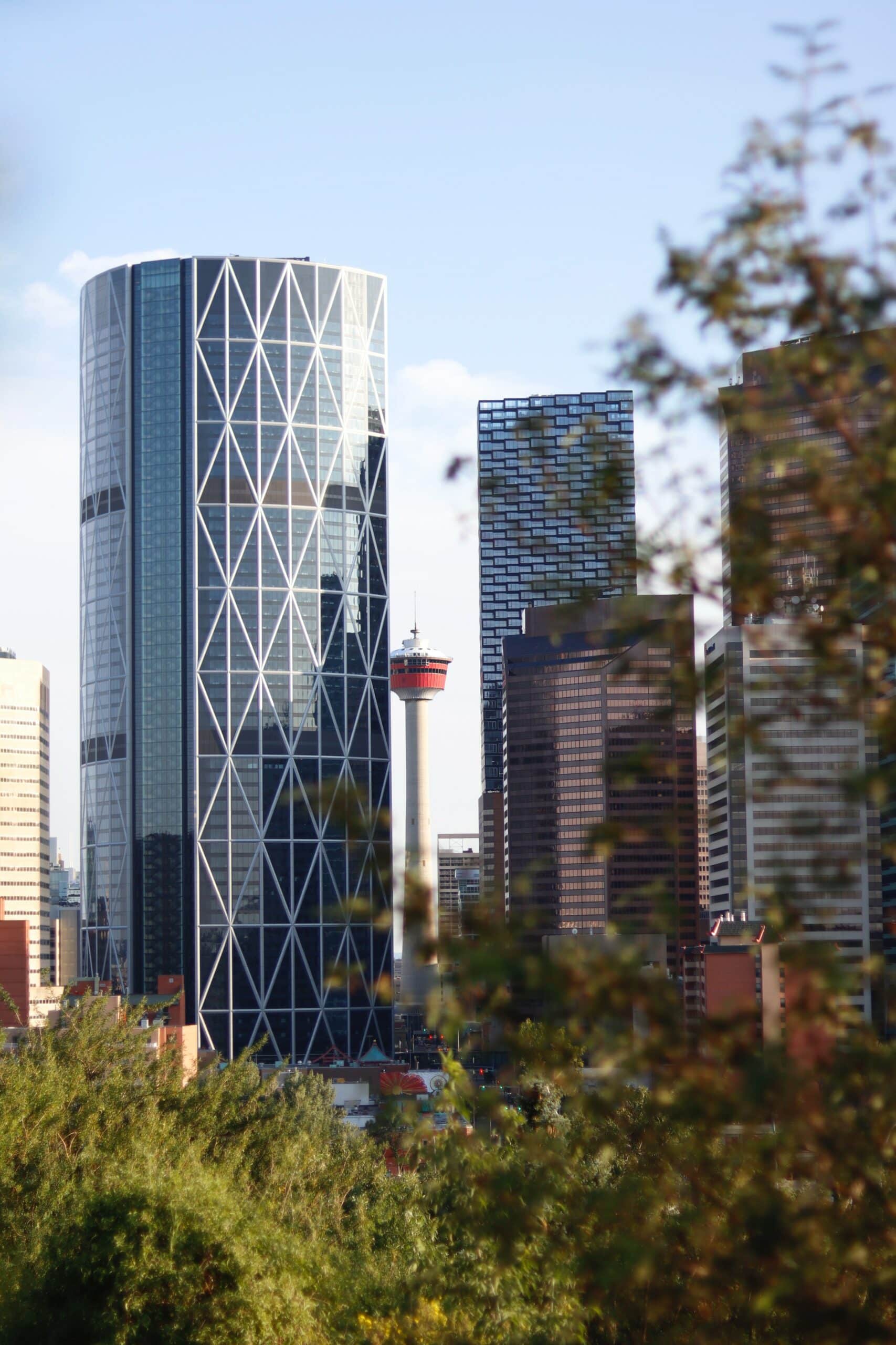 Calgary has a lot to offer for Fall 2023! Photo credit: Donavan Kelly.