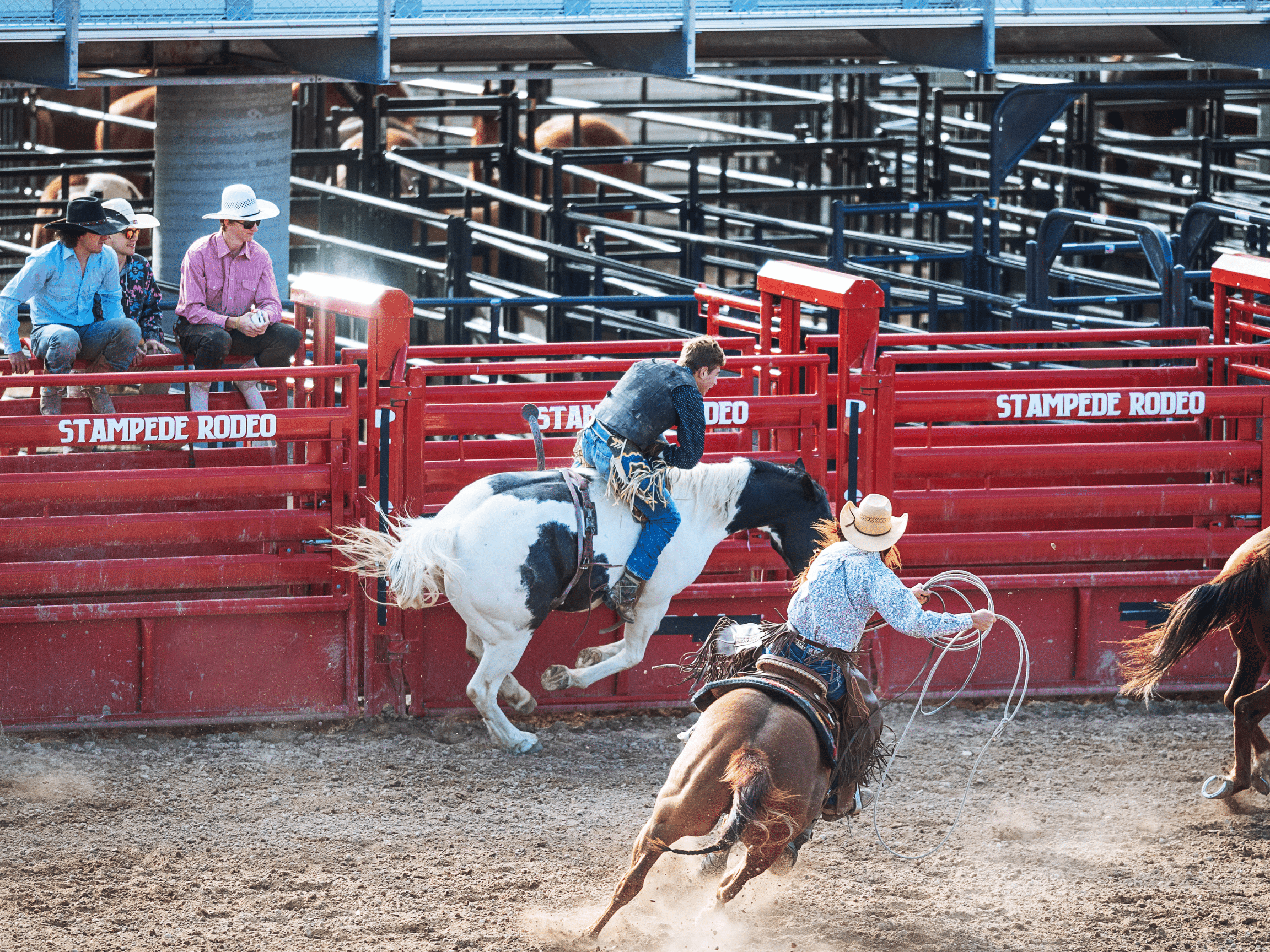Calgary Stampede 2025